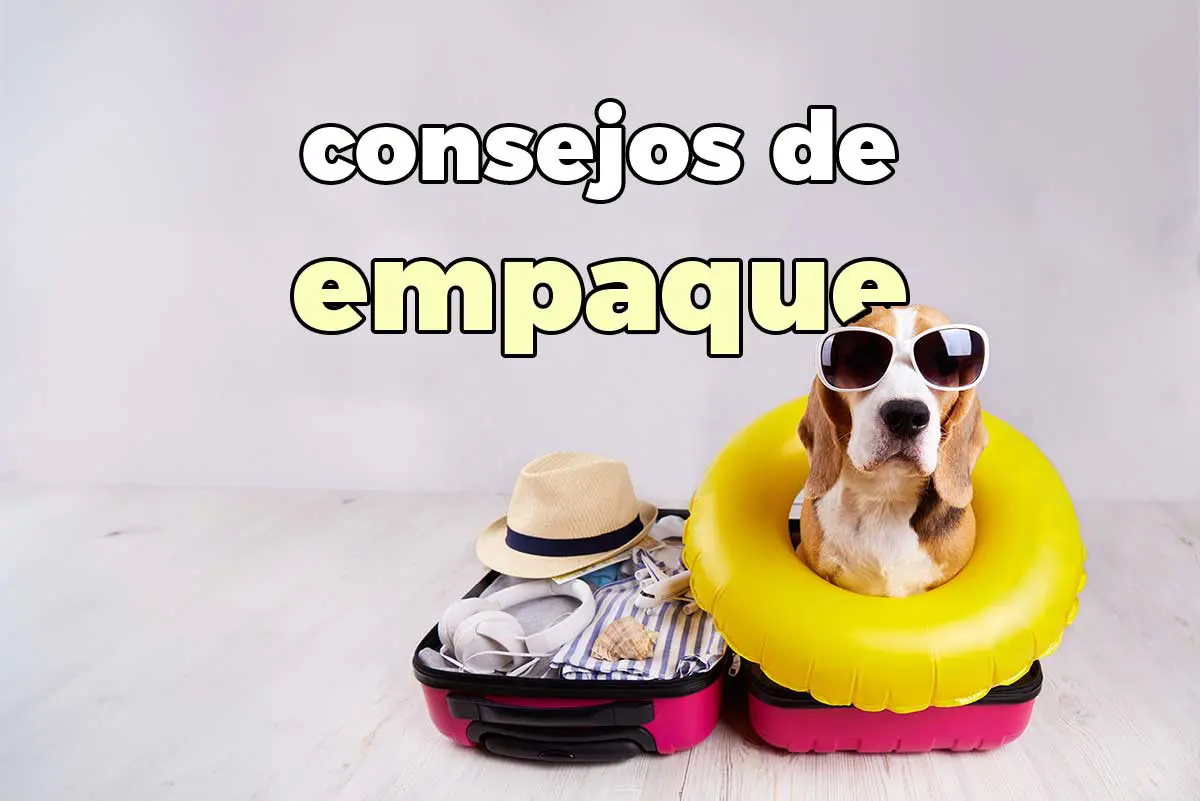 Consejos de empaque
