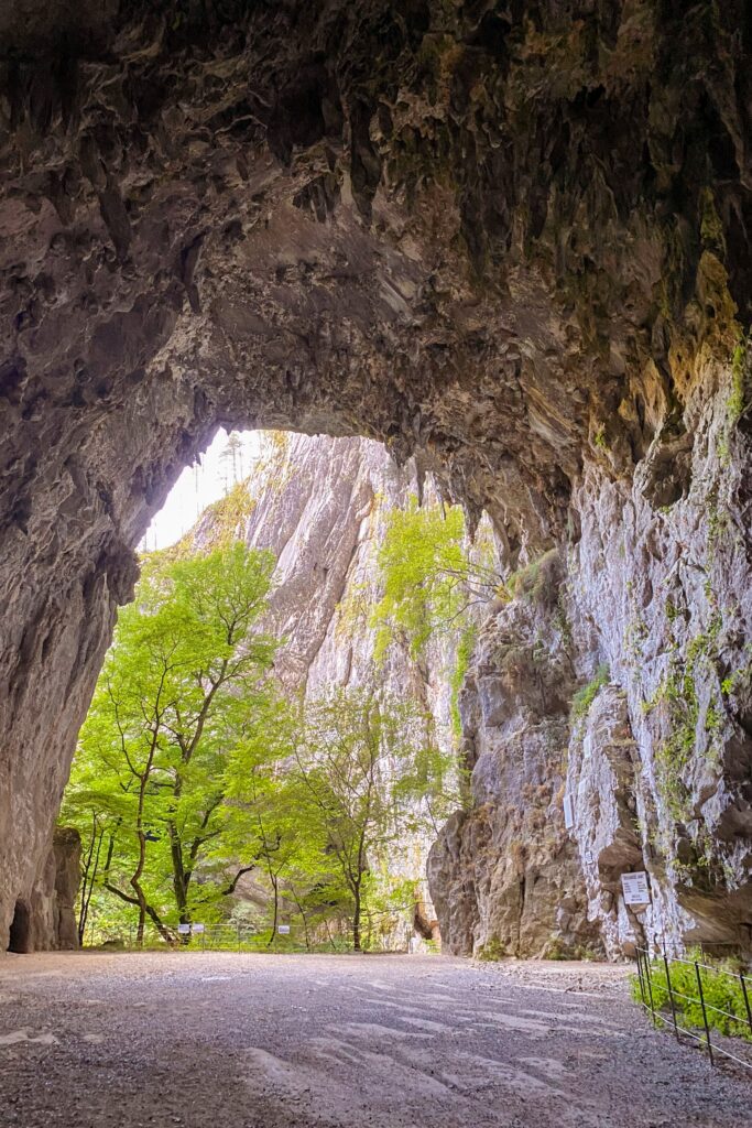 Cueva de Skocjan